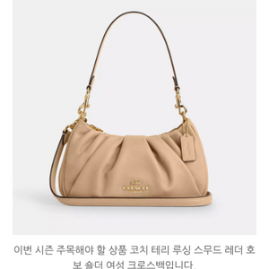 코치 테리 루싱 호보백