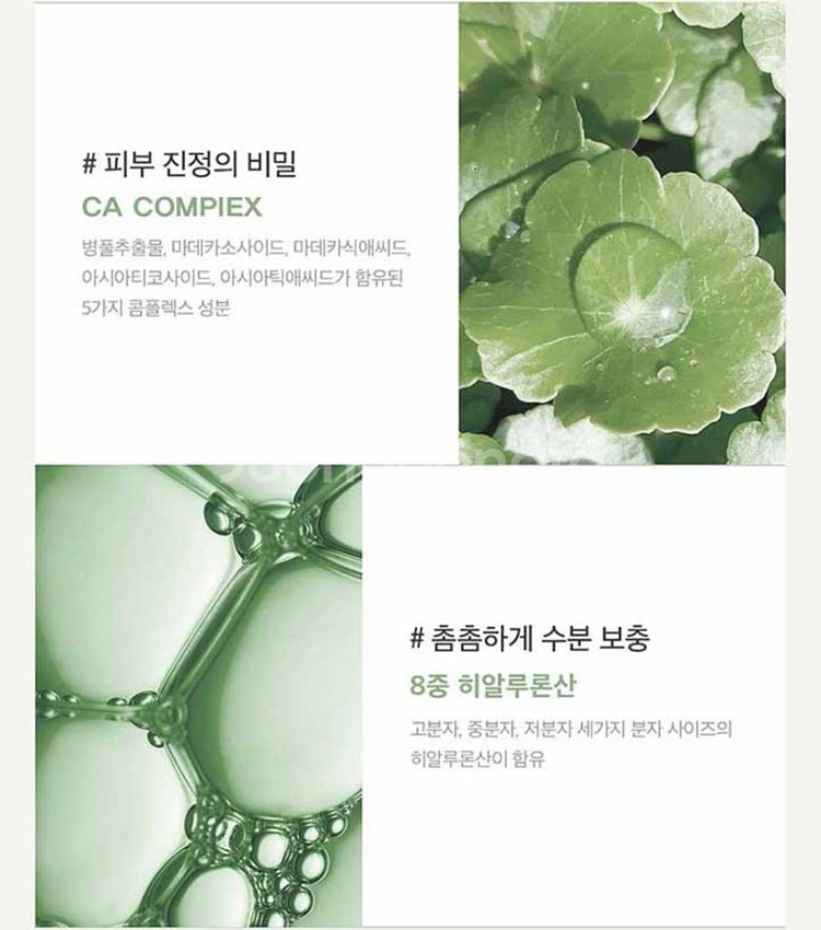 DPC 파인 퓨어 수딩 클렌징폼 폼클렌징 진정 시카--5