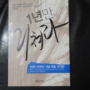 1년만 미쳐라