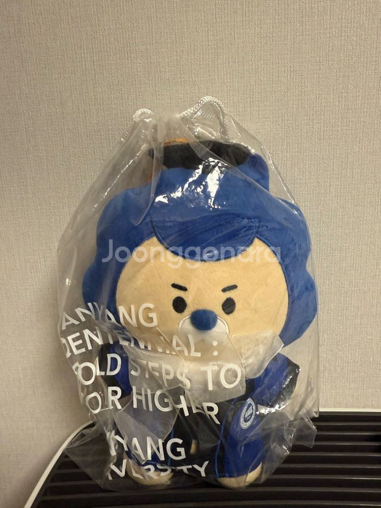 한양대 마스코트 인형 졸업 스냅--0