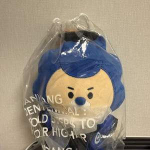 한양대 마스코트 인형 졸업 스냅