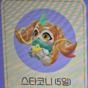 카러플 스타코니 (5일) 쿠폰 판매