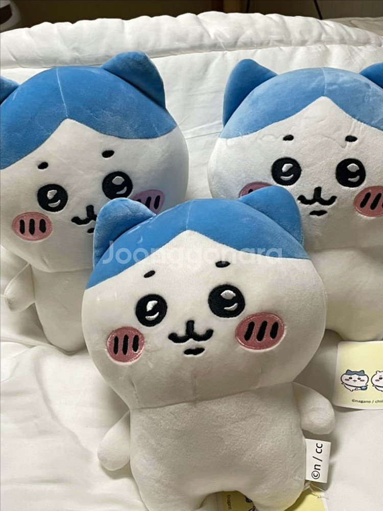 하치와레 중형인형--2