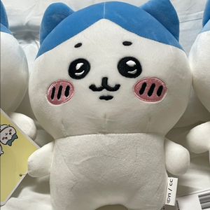 하치와레 중형인형