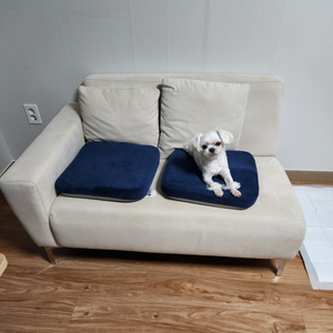 쇼파