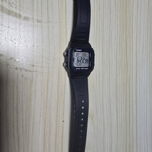 카시오 w800h 군식ㅖ