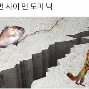 롤 1000 rp 구매합니다
