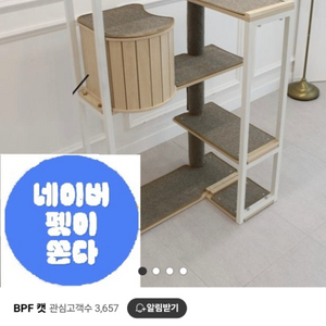 BPF 캣타워 투명해먹