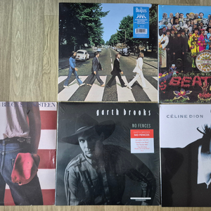 셀린 디온,비틀즈 Beatles,Bruce 5장 LP