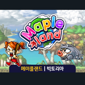 메이플랜드 메랜 메소 4000:1 120개 팔아요