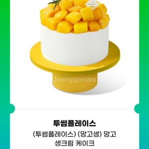 투썸플레이스 망고 생크림 케이크
