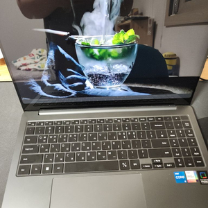 삼성 갤럭시 북3 pro 16인치
