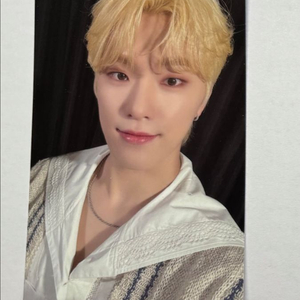 세븐틴 캐럿랜드 캐랜 메모리북 디노 포카