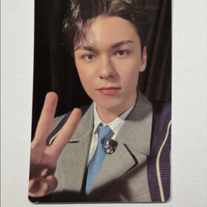 세븐틴 캐럿랜드 캐랜 메모리북 버논 포카