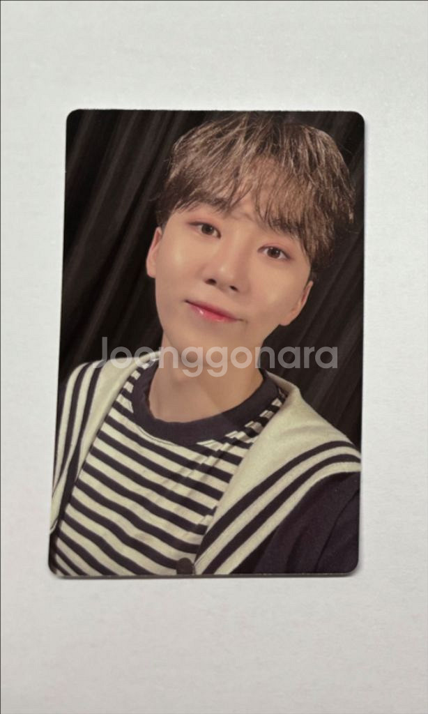 세븐틴 캐럿랜드 캐랜 메모리북 승관 포카--0