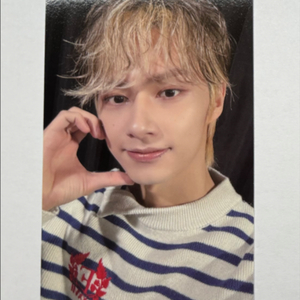 세븐틴 캐럿랜드 캐랜 메모리북 준 포카