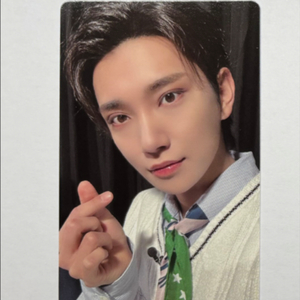 세븐틴 캐럿랜드 캐랜 조슈아 포카
