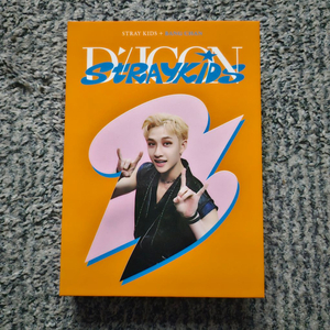 스트레이키즈 방찬 디아이콘 디페스타 바인더