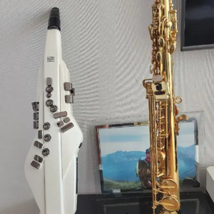 롤랜드 A-20 에어로폰