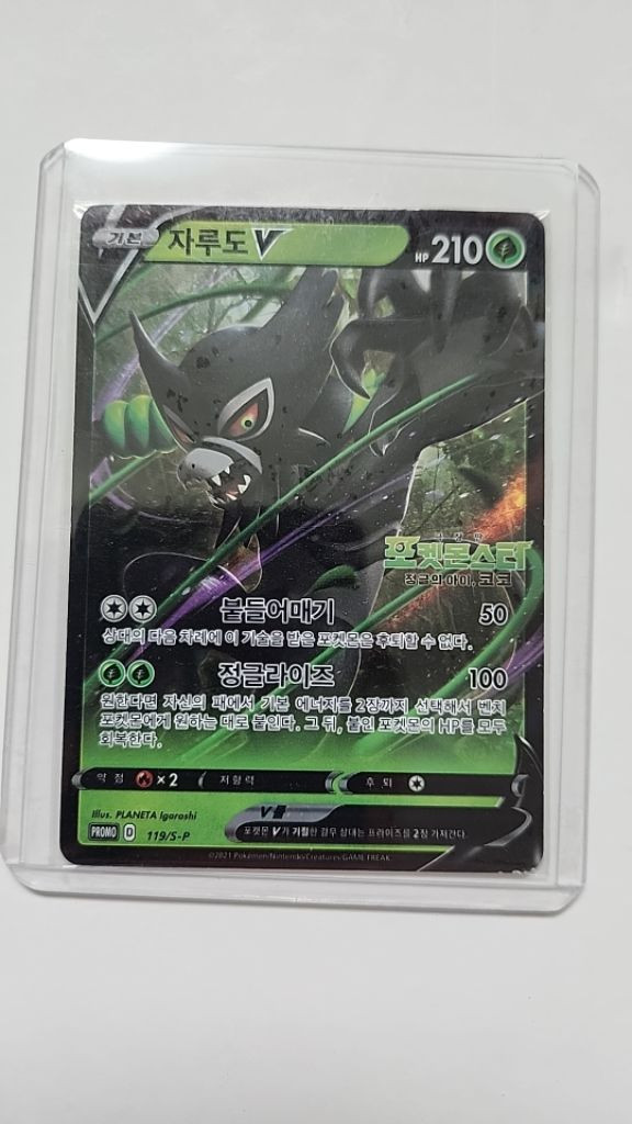 포켓몬 카드 자루도 이미지