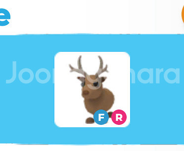 입양하세요 날타 순록--0