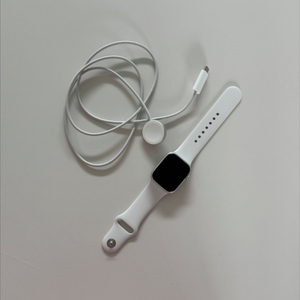 애플워치8 실버 41mm, 배터리성능 : 100%