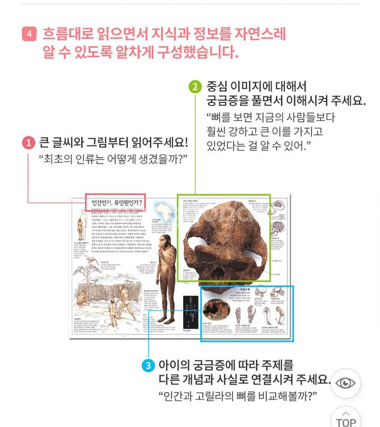 DK비주얼박물관--4
