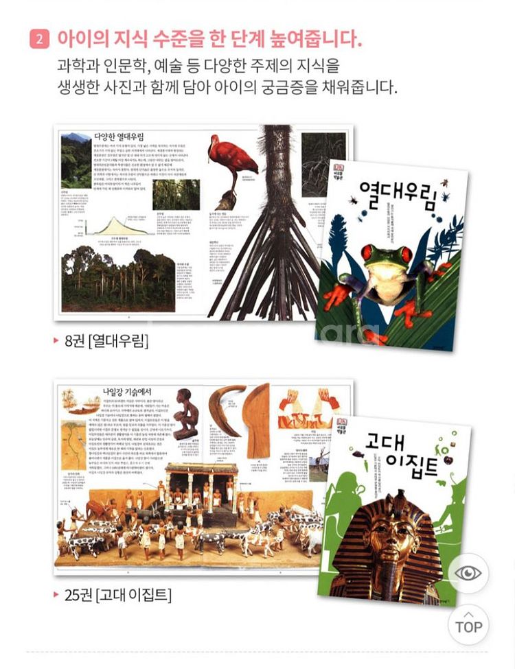 DK비주얼박물관--3
