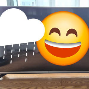 LG 49인치 LED TV