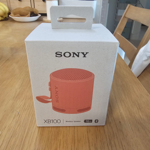 소니 XB100 스피커 블루투스 스피커