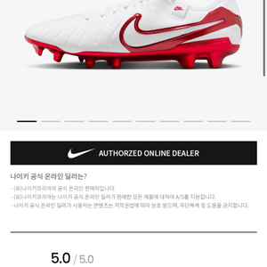나이키 티엠포 레전드 10 엘리트 LV8 FG 275