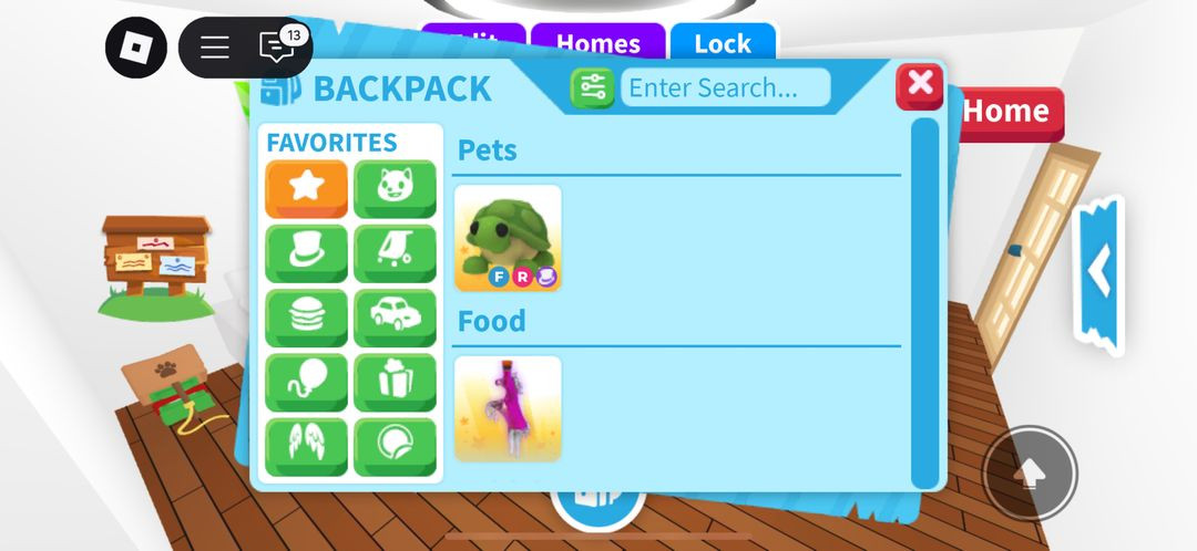 입양하세요 거북이 등 이미지