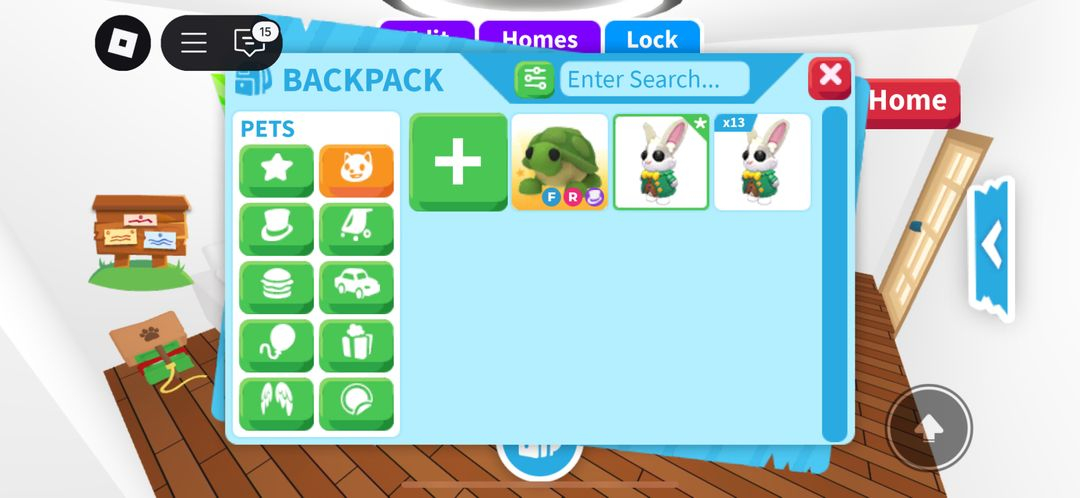 입양하세요 거북이 등 이미지