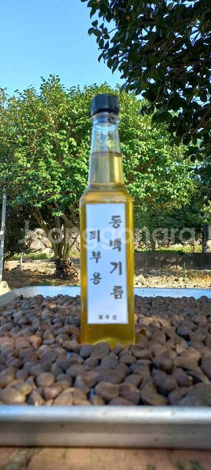 제주동백오일(피부,헤어)원액--1