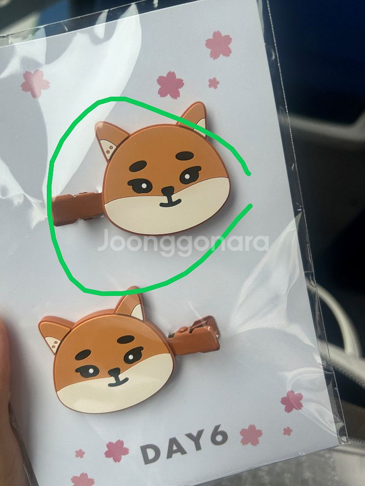 데이식스 데니멀즈 요코하마 케 헤어핀 분철--0