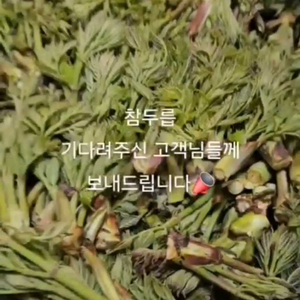 두릅