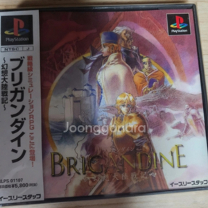 (PS1)브리간다인