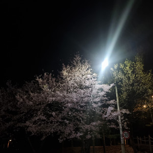 영화예매 7천원