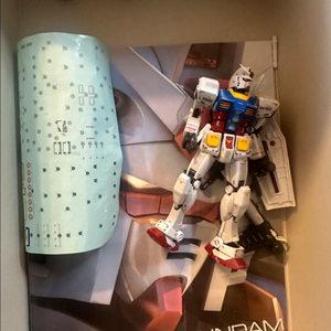 RG 퍼스트 1.0 팝니다