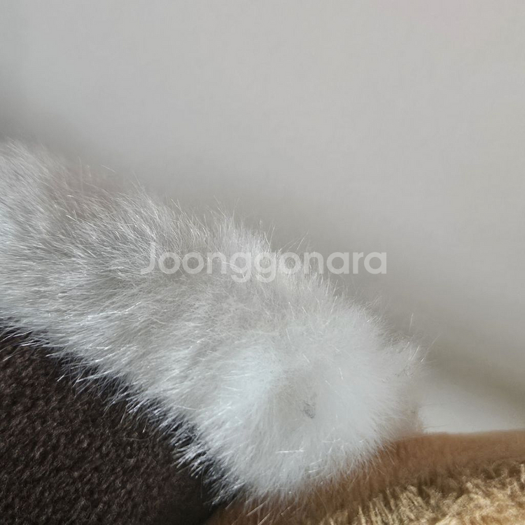 에버랜드 머리띠 롯데월드 머리띠 너구리머리띠 렛서판다--3