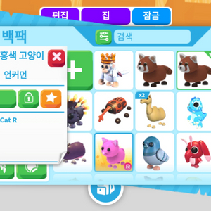 입양하세요 핑냥이입니다