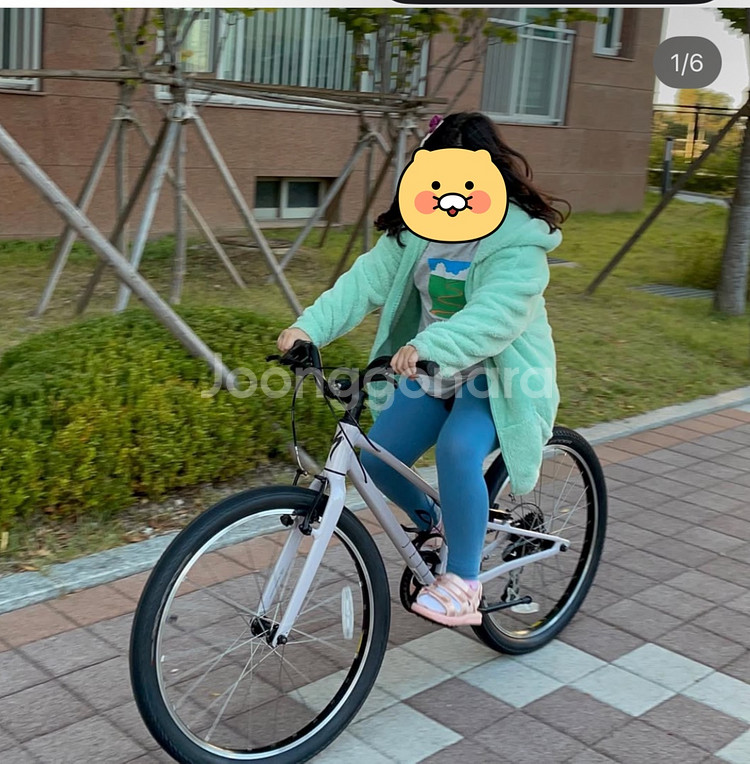 스페셜라이즈드제트--0