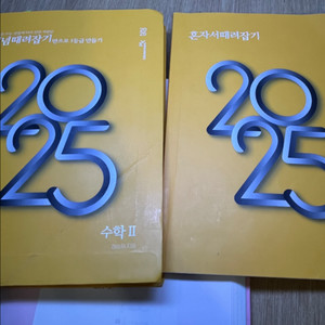 개때잡 2025 수2