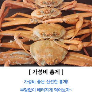 포항 구룡포 자숙 홍게 6kg