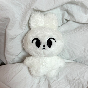 엔시티 도영 인형 하또