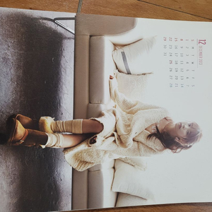 아이유 2013년 시즌 그리팅