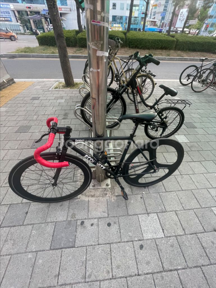 에콜로직스 픽시--0