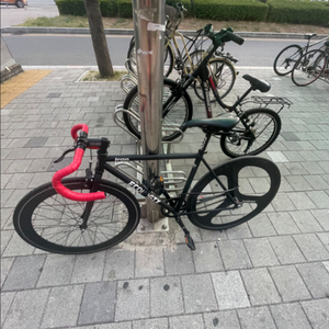 에콜로직스 픽시