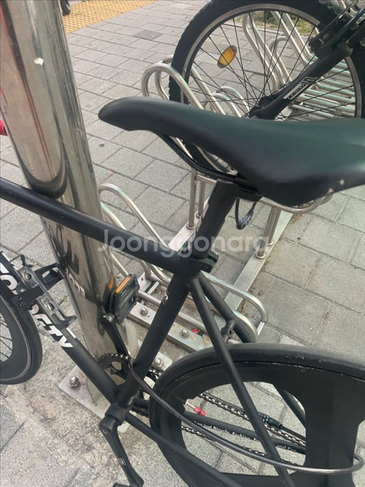 에콜로직스 픽시--5