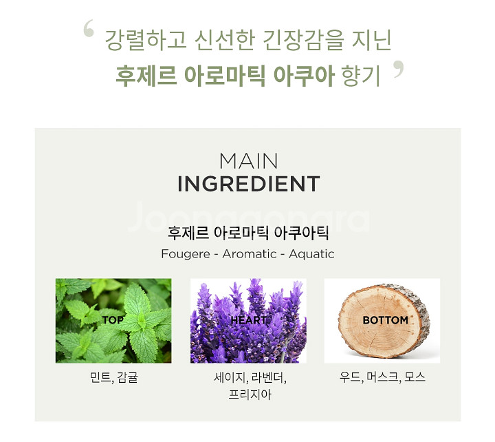 칼 라거펠트 함부르크 알스터 60ml / 남자향수.정품--4